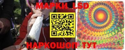 прущие грибы Балахна